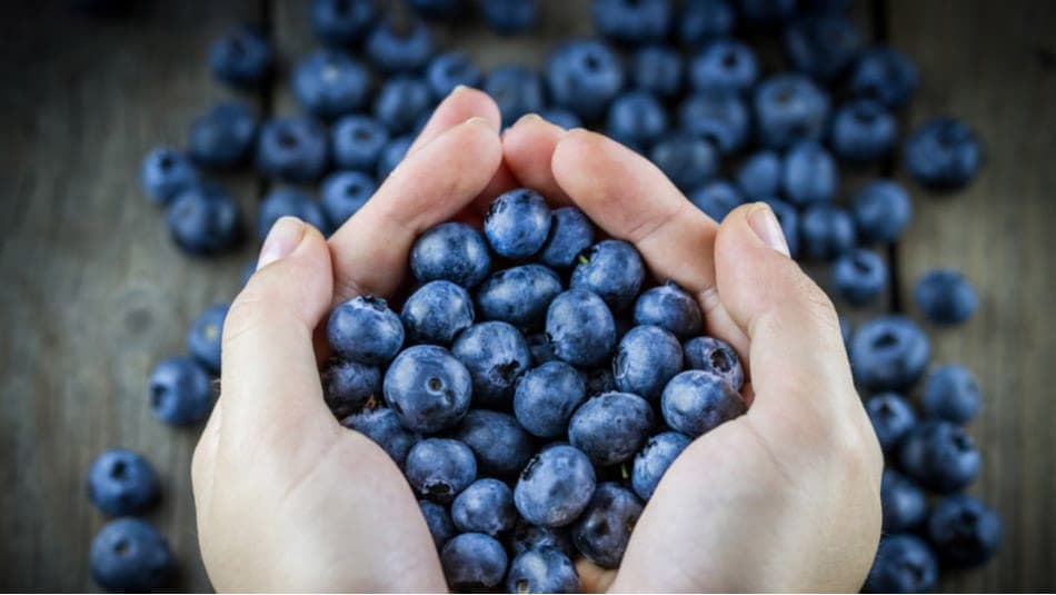 Mustikad silmatervisele: 13 teaduslikult tõestatud omadust