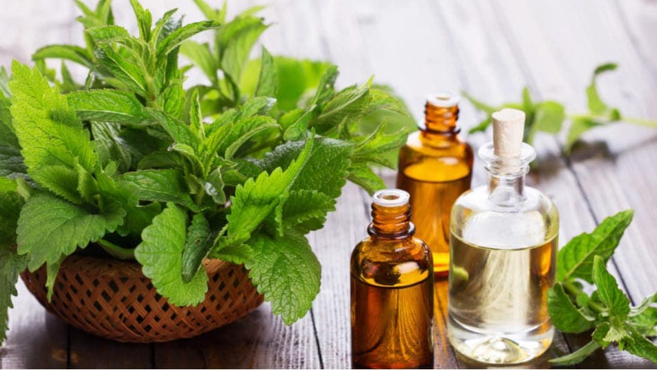 Натуральные масла от UV: защита без химикалов