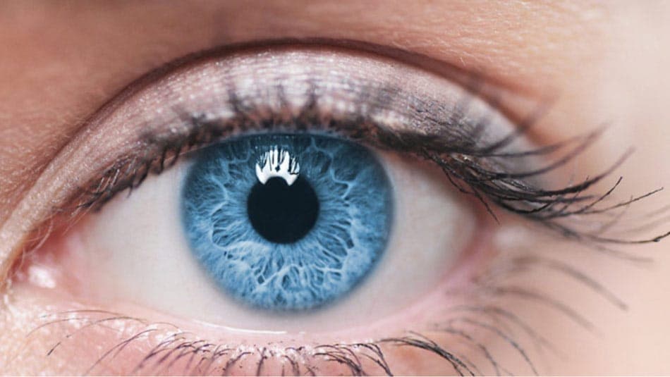 7 советов для здоровья глаз | КСА Силмакескус