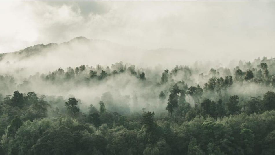 Kontaktläätsed ja keskkond – Flow3 laserkorrektsiooni eelis