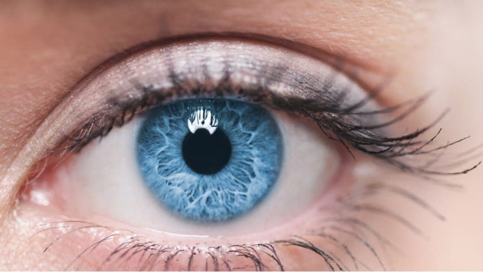 Общение парализованных пациентов через зрачки