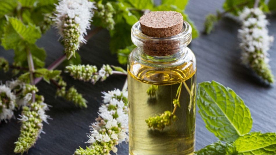 Piparmünt silmatervisele: 15 kasulikku omadust