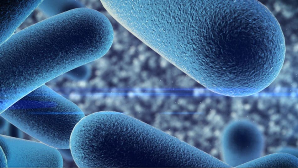 Пробиотики лечат аллергию: 80% успеха у детей