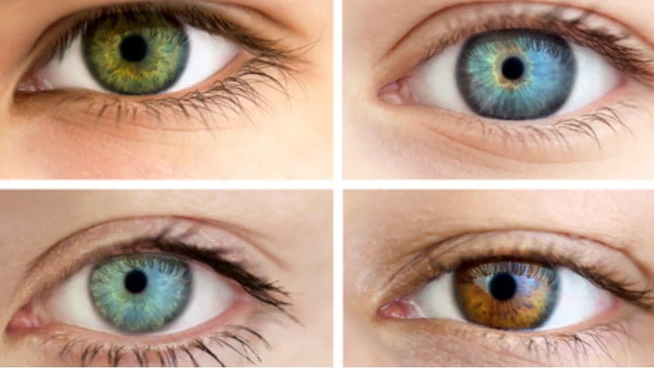 5 фактов о глазах | Лазерная коррекция зрения Таллин